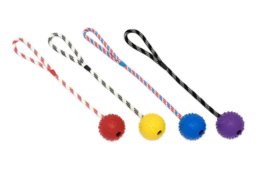 Ball On A Rope