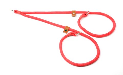 Braided Brace Slip Collar (Two Dogs One Lead)
