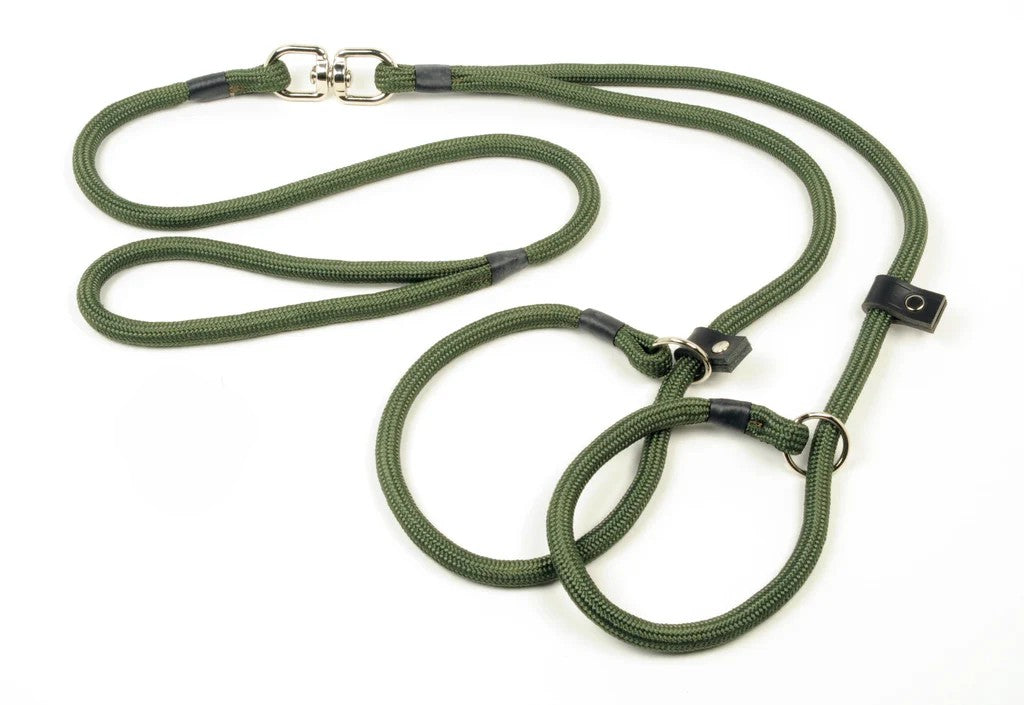 Braided Brace Slip Lead With Swivel - (two dogs one handle)
