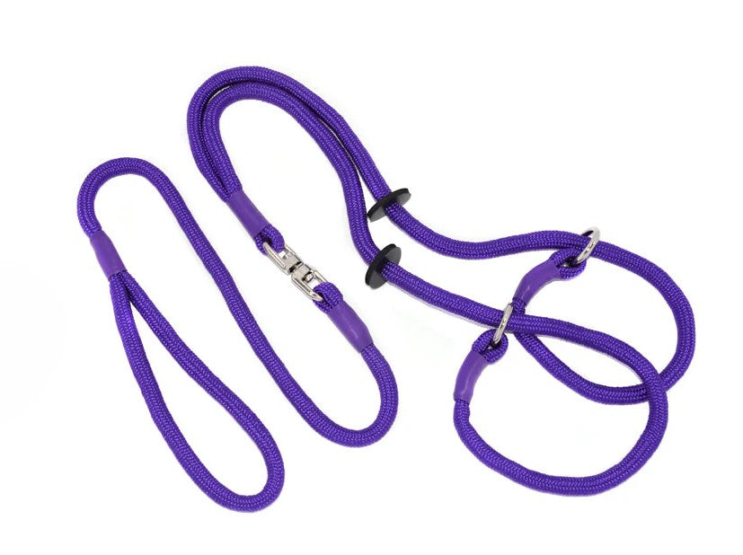 Braided Brace Slip Lead With Swivel - (two dogs one handle)