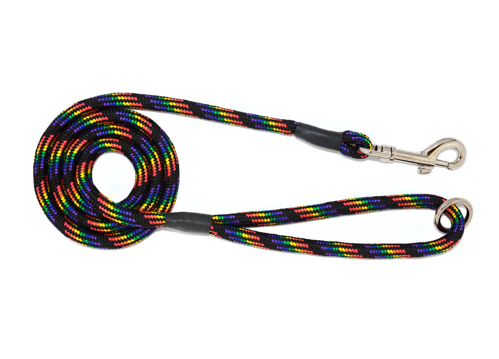 Braided Clip Lead With Ring