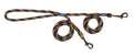 Braided Brace Clip Lead For Two Dogs