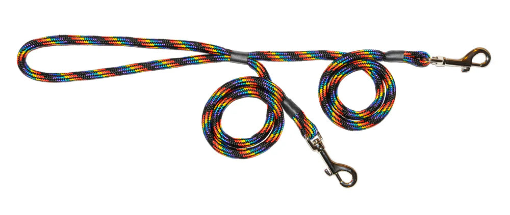 Braided Brace Clip Lead For Two Dogs
