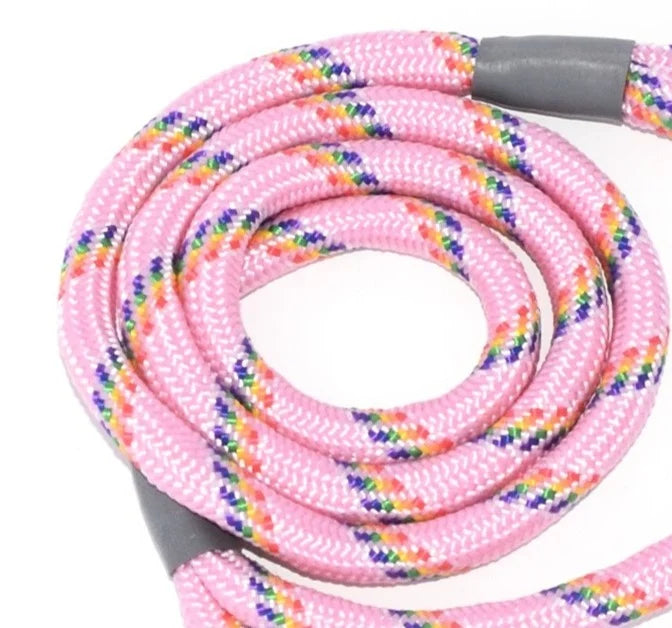 Braided Slip/Clip Lead No Stopper - 8mm diameter, 1.2m length, Pink & Rainbow