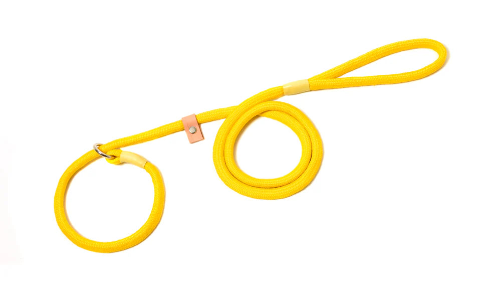 Braided Slip Lead With Leather Stop
