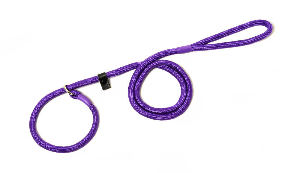 Braided Slip Lead With Leather Stop