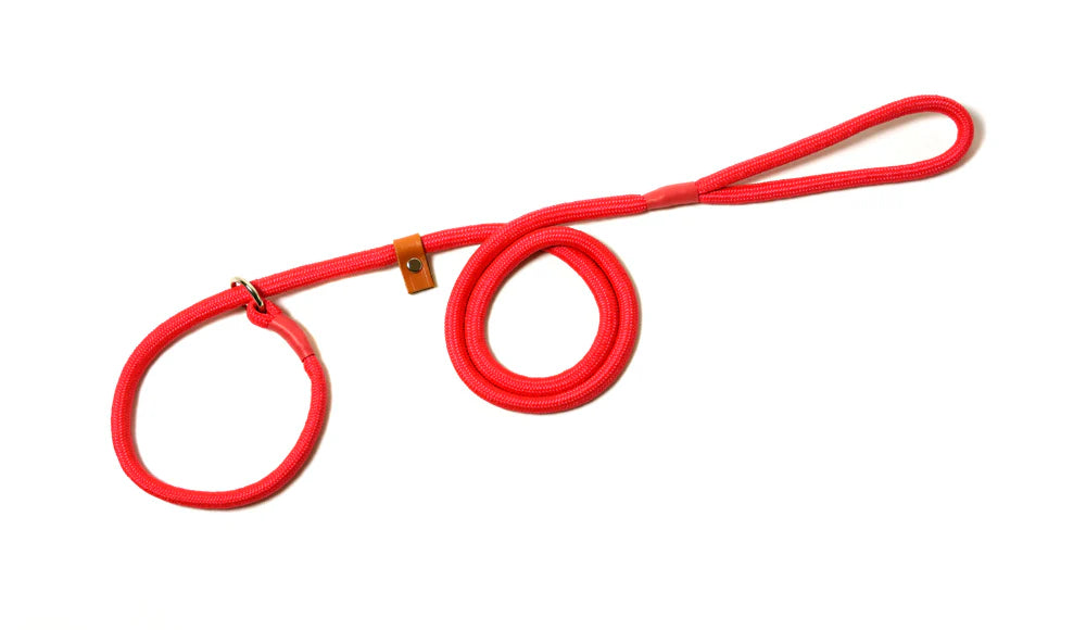 Braided Slip Lead With Leather Stop