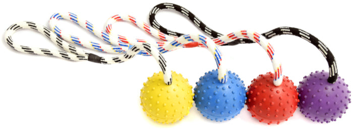 Ball On A Rope
