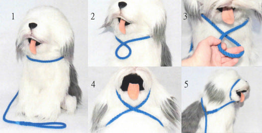 Braided Slip Head Collar Lead (slip Halter)