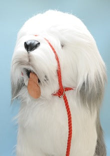Hand Made Rope Head Collar Lead (slip halter)