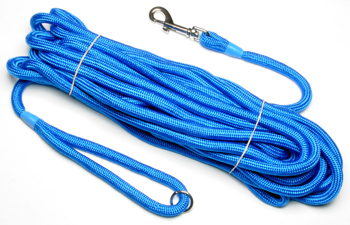 long dog rope
