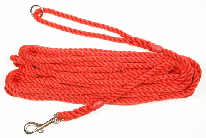long dog rope